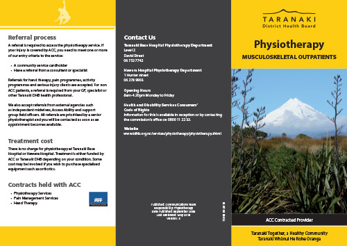 physiotherapy brochure